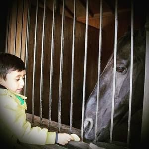 Meet your Posher, Elmaddin